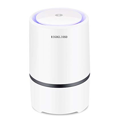 Portable Air Purifier for Home with True HEPA & Carbon Filters, Desktop USB Air Cleaner, Air Ionizer Freshener with LED Night Light, PM2.5 Eliminator Cleaner for Cigarette Smoke, Allergies, Bacteria