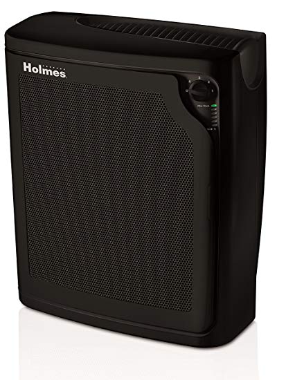 Holmes Large Room 4-Speed True HEPA Air Purifier with Quiet Operation, Black